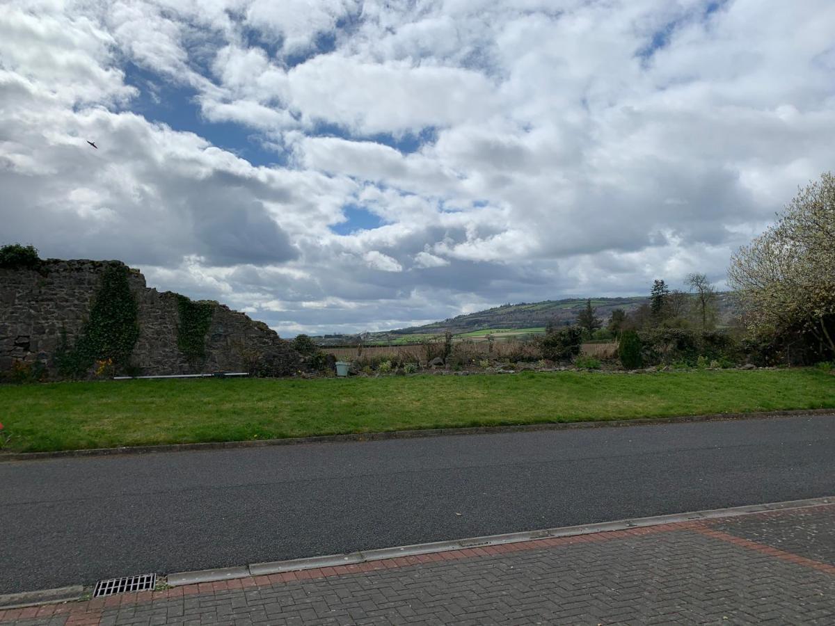 Two Bedroom Town House Beside The River Barrow Carlow Exterior photo